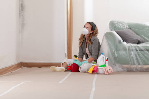 Reliable Mold Cleanup contractor in Graham, TX by Cheap Mold Removal